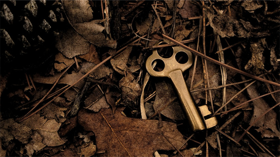 淘鲜达为什么不能自提