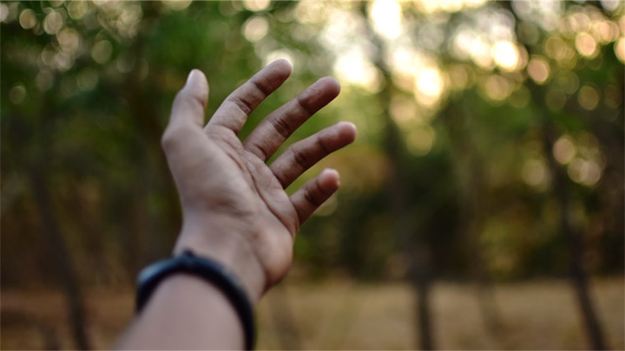 支付宝黄金票是什么意思