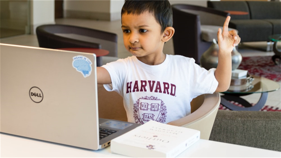 淘特品类券活动规则