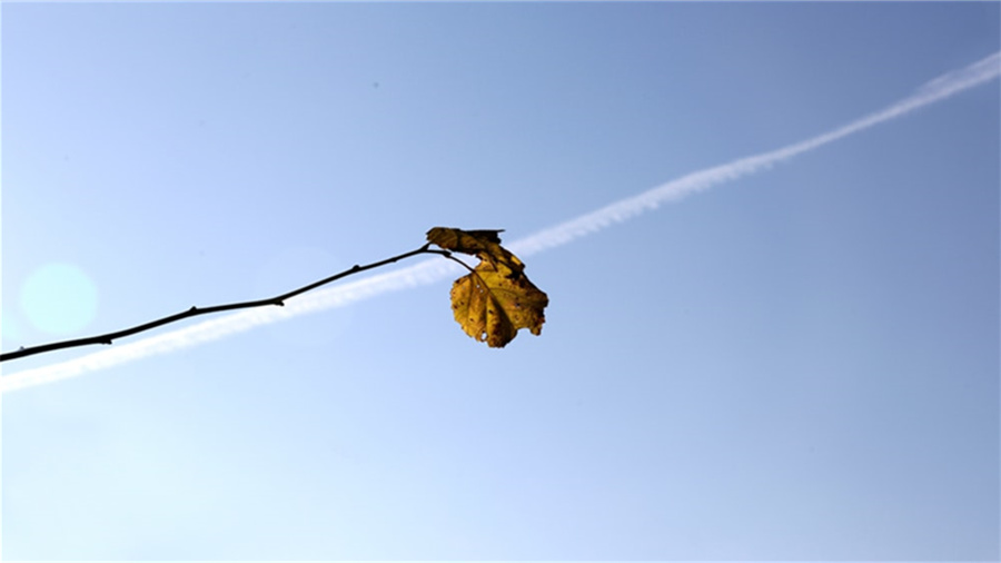 拼多多秒杀可以补单吗