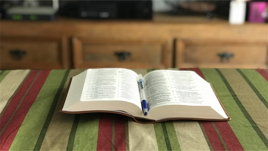 京东会员优惠券过期了怎么弄回来