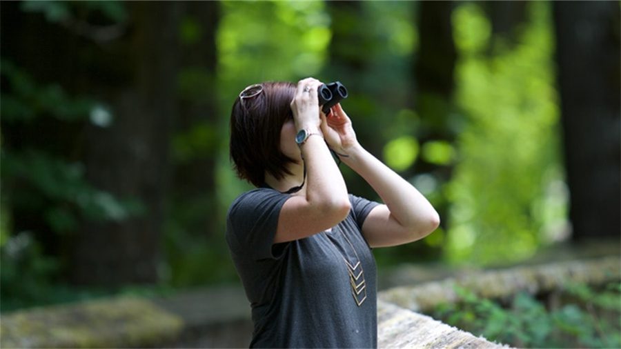 直通车测款测的是什么