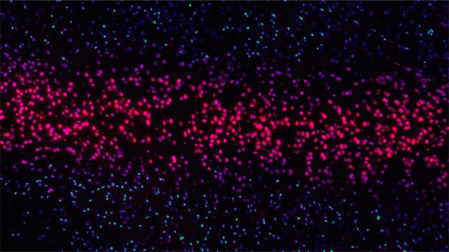 淘宝无货源开店模式靠谱吗