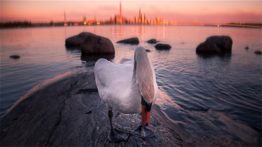 淘宝商家拒绝开票怎么处理