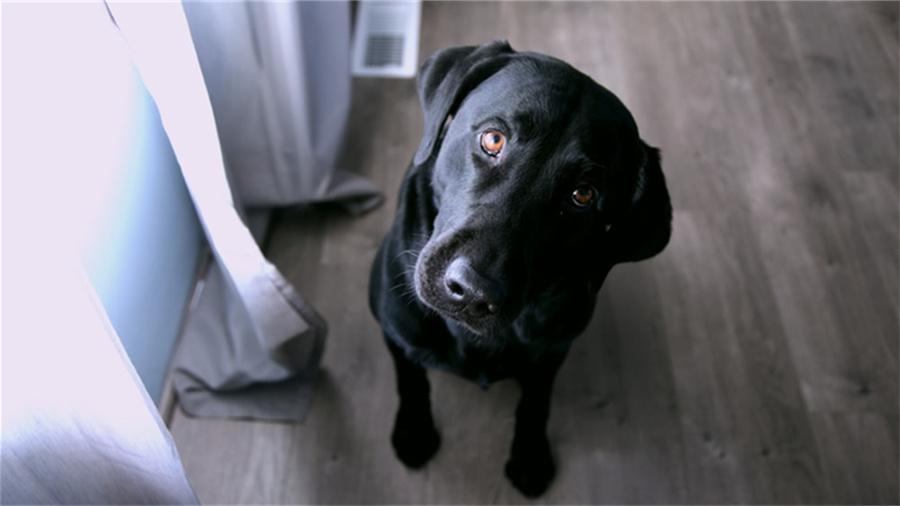 淘宝网上卖家漏发如何补发