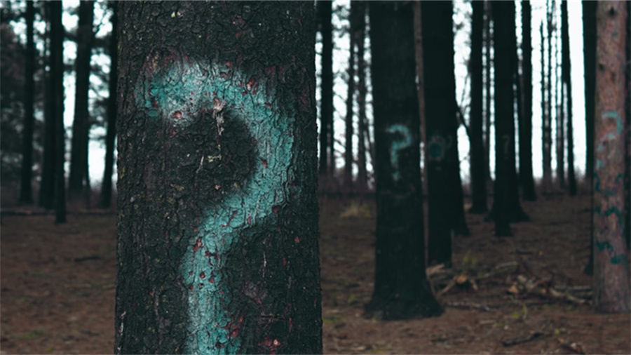 天猫新风尚活动在哪报名