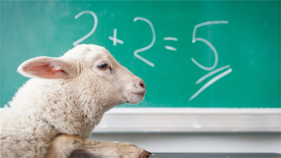 如何利用年货节提高店铺流量