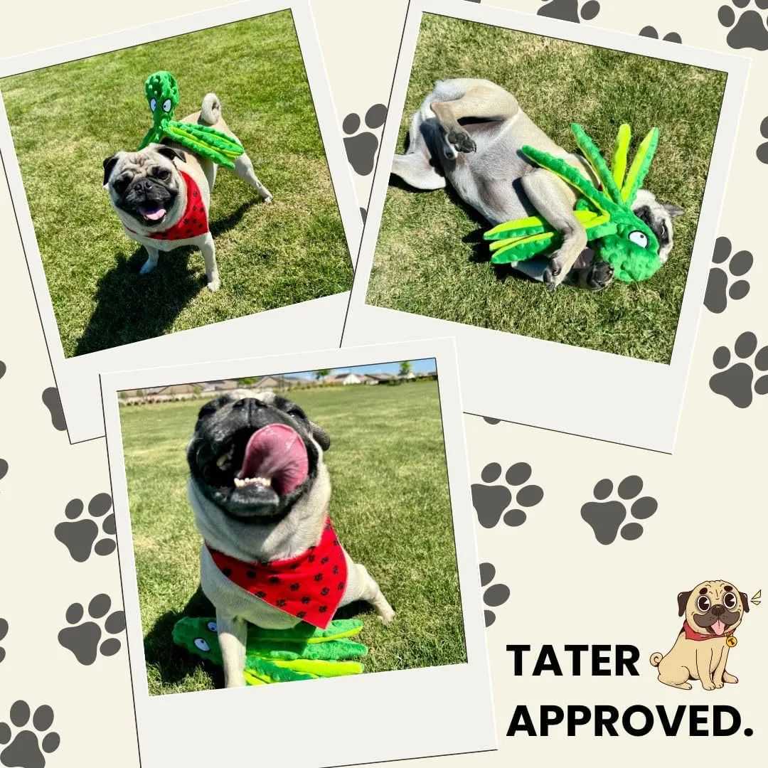 【侵权快讯】25-cv-8993 宠物用品卖家注意！这款宠物章鱼玩具版权发案维权中，速排查下架！