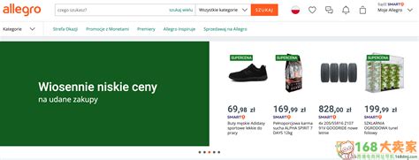 Allegro和Kaufland两大平台将推出捷克站点公告？详情、推出时间及市场影响