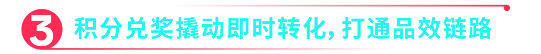 Wavytalk 母亲节营销一战双成，实现多爆品突围 + 品牌本地化破圈