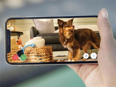 亚马逊宠物日活动规则？2025年活动规则完全指南