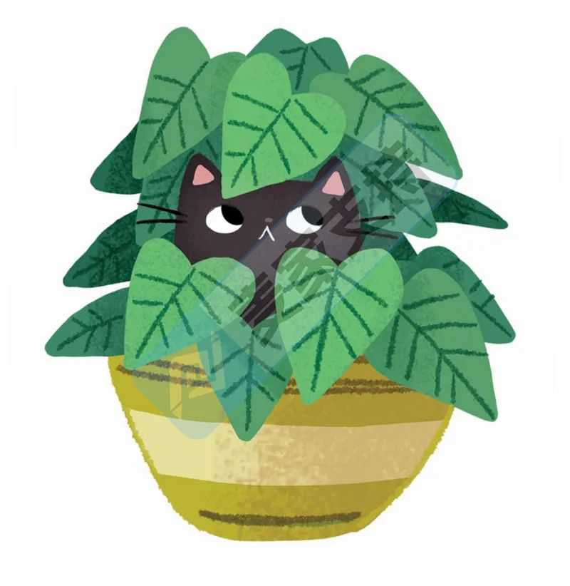 25-cv-09579，keith律所新案速递！花丛中的猫高危！